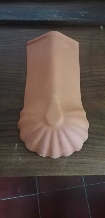 Telhão de Início Pata de Leão -  Marselha Torrense