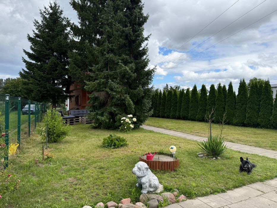 Wyjątkowa działka ROD z domkiem | 5 min od Gdańskiej Starówki - Widok 3