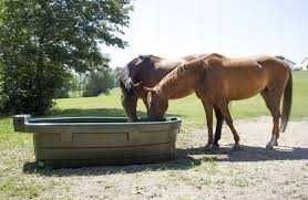Poidło pastwiskowe, wannowe dla bydła koni 550 l Kerbl
