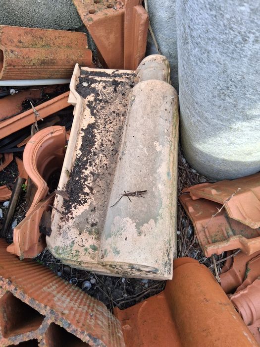 Materias construção novos restos