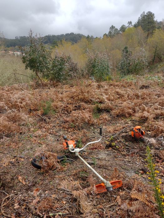 Limpezas de terrenos agrícolas e florestais
