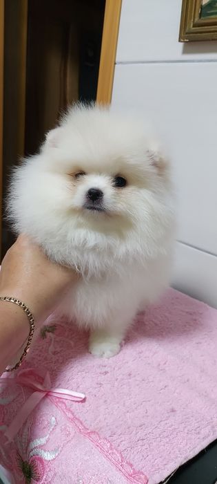 Мальчик в продаже
