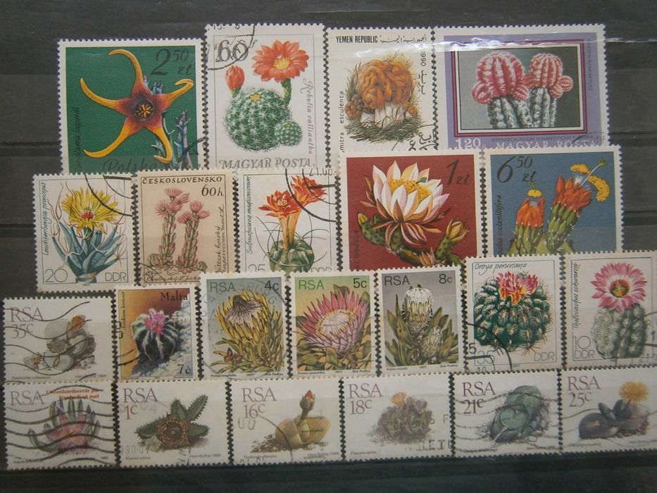 22 selos do tema Cactos todos diferentes