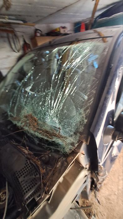 Dacia Sandero 1пробіг 108т. Под разбор