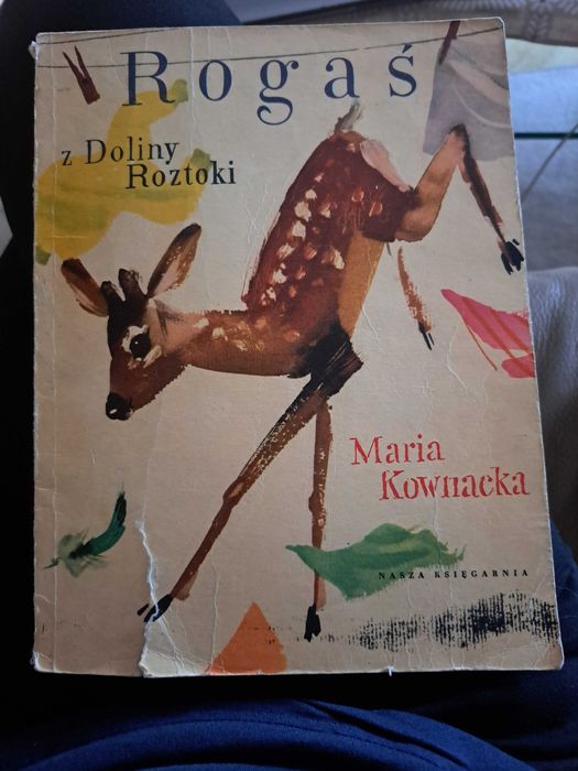 Rogas z doliny roztoki 1973 r