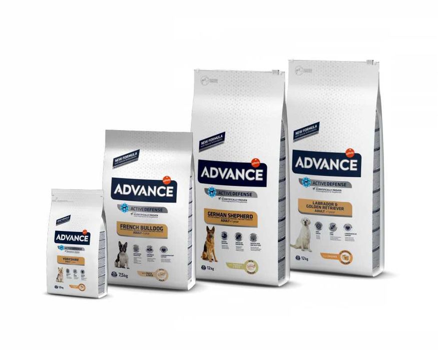 Advance Dog Buldogue Francês, Pastor Alemão, Labrador e Yorkshire