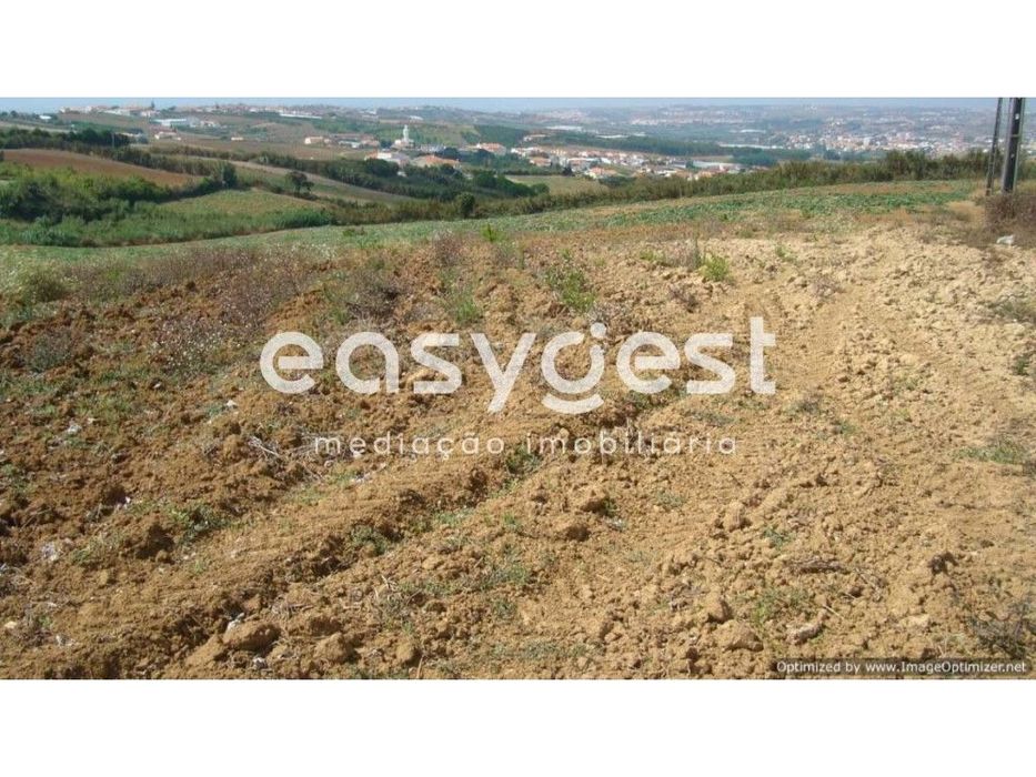 Terreno Rústico - Porto Dinheiro