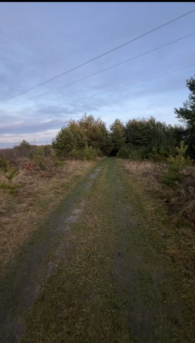 Терміново продаж ділянки 0,25