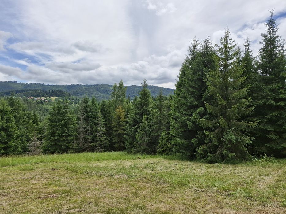 Dzialka Glinka -Smerekow Maly 30a