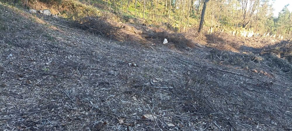 Terreno para construção