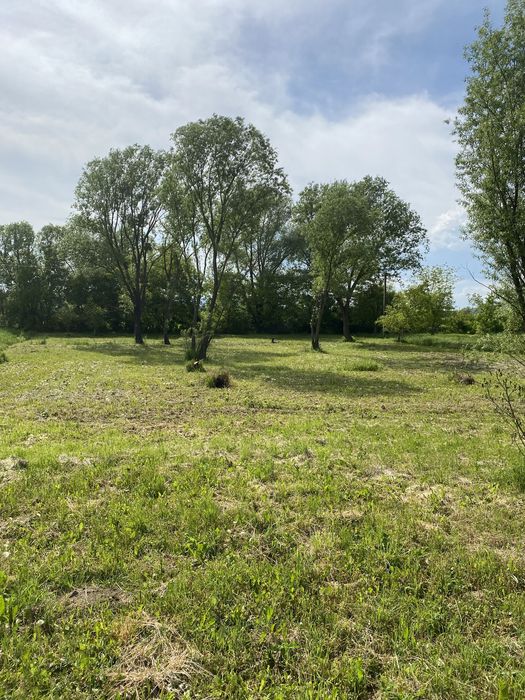 Земля під будівництво