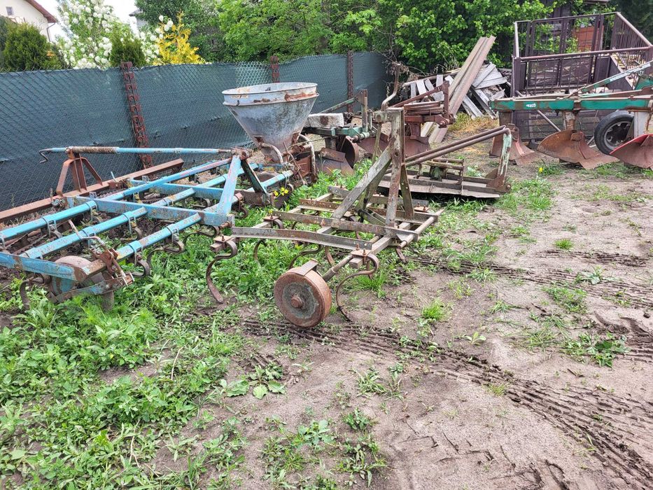 Sadzarka do ziemniaków podkiełkowanych