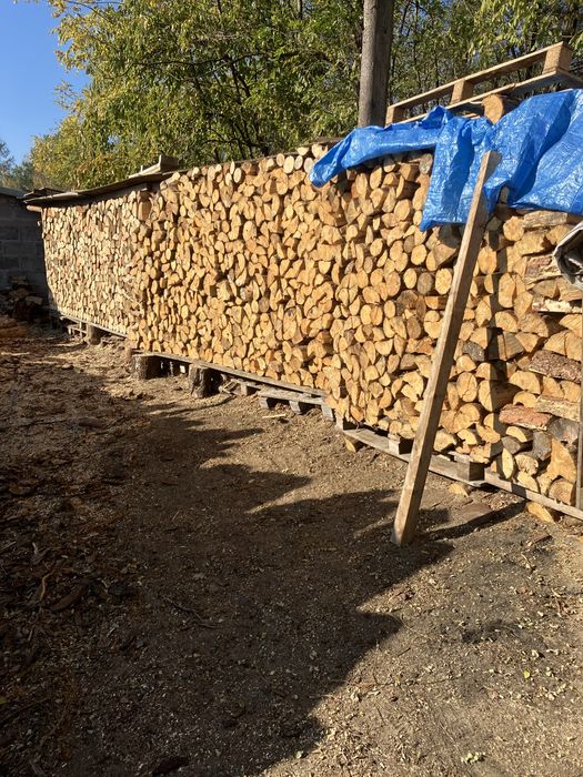 Drewno Drzewo opałowe sosna cięte łupane