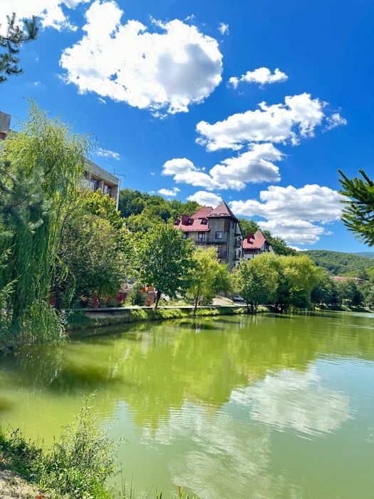 Оренда квартири Сонячне Закарпаття