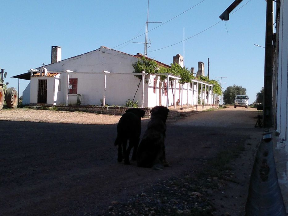 casa 3 quartos +1 em Herdade perto do cercal do alentejo, aluga-se a empresas até 8 trabalhadores 30m de Sines