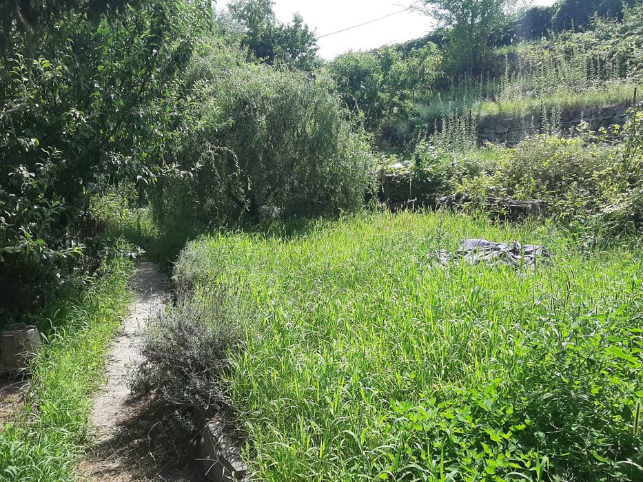 Сдам 2-3й этажи в доме в Соловьиной роще возле воды. Без мебели