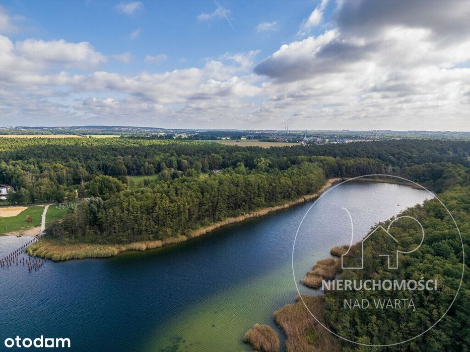Działka ROD "Strzeszyn" w sąsiedztwie jeziora i lasów