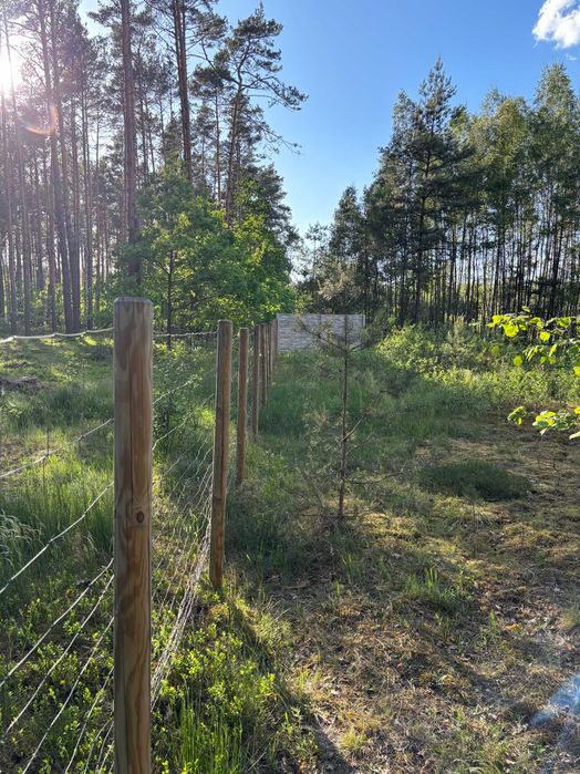 Działka Kąty Czernickie 50km od Warszawy!!! - Widok 3