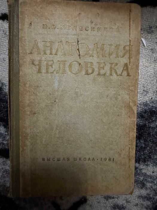 П. В. Колесников — Анатомия человека, 1961