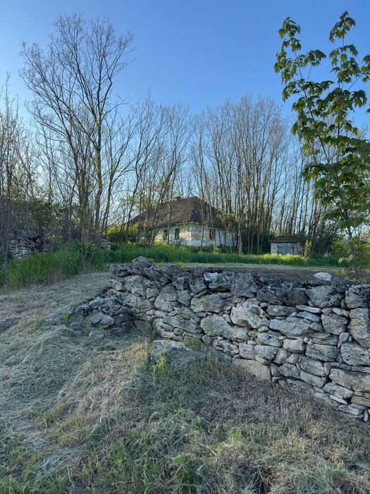 Будинок в маленькому селі