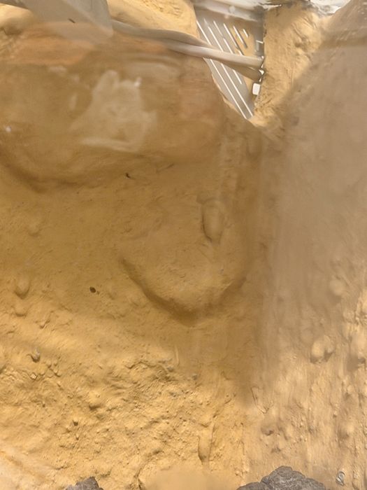 Terrarium gekon lamparci