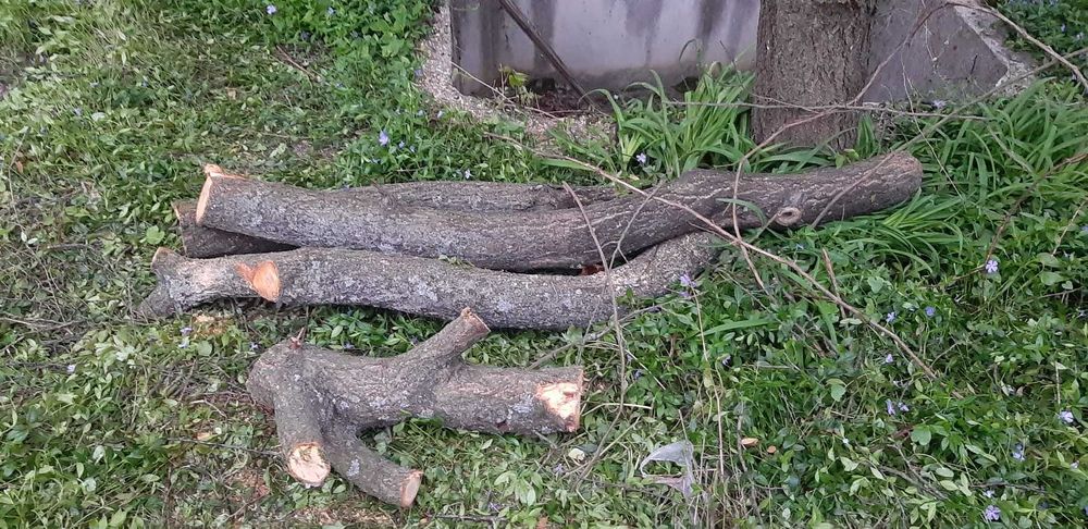 Сливові/абрикосові дрова на копчення, шашлик