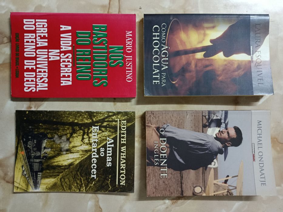 Lote de LIVROS bons e baratos ( 10 )