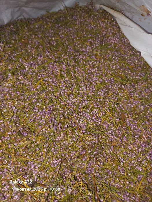 Чай з Вересом...