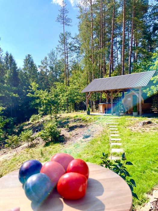 Domek kominek, balia, sauna, klimatyzacja, agroturystyka, balia, sauna