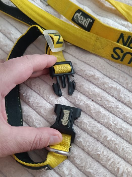 Проводок с ошейником DEXIL Nervous