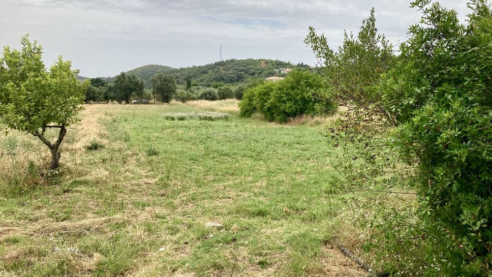 Terreno Rustico em São Brás Alportel