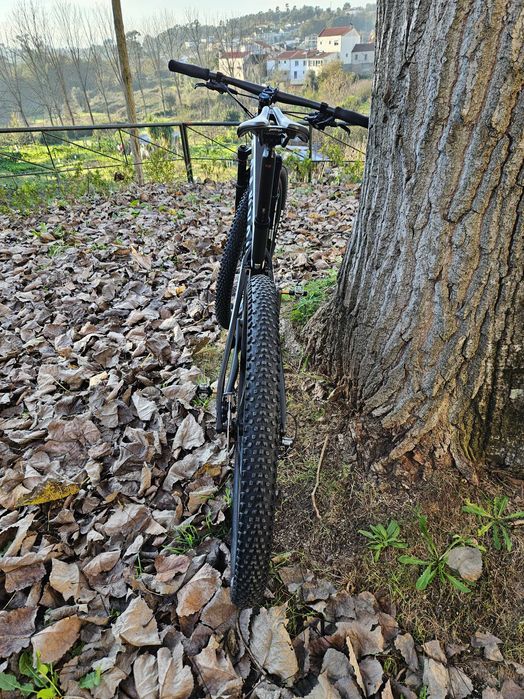 Btt Canyon Lux 2020, com especificações TOP