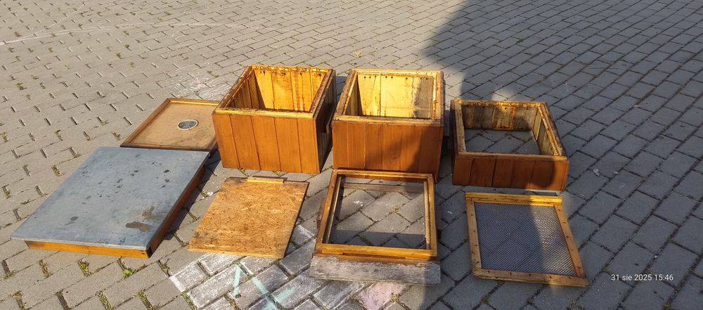 Ul drewniany wielkopolski