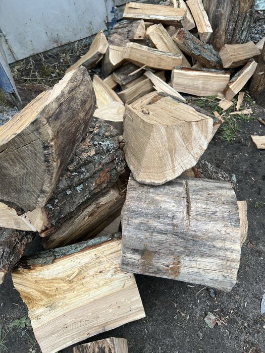 Дрова Дубові в мішках ДУБ Сосна з доставкою