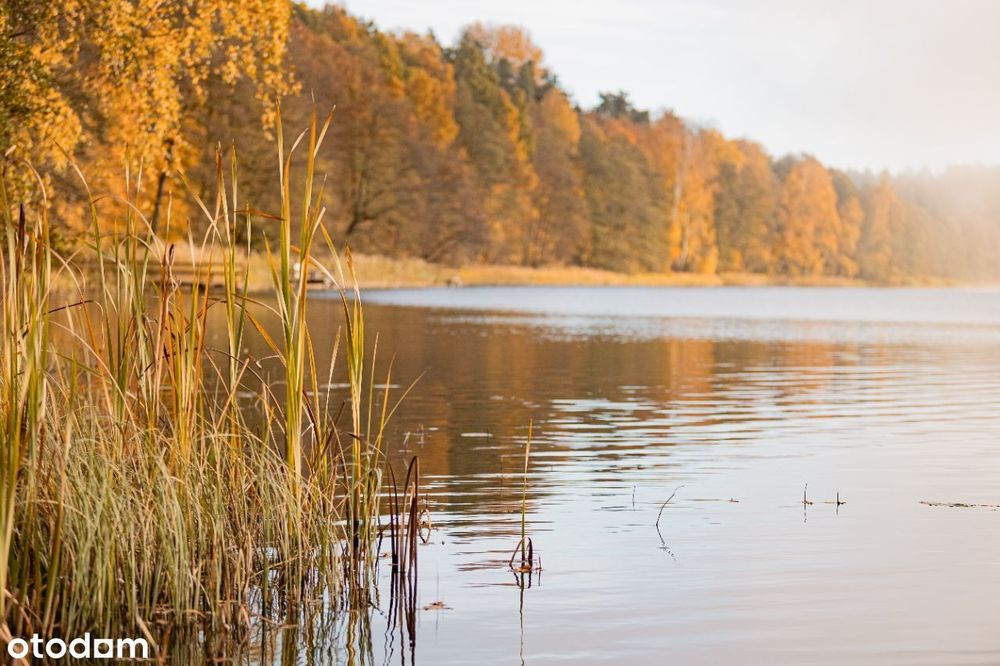 Dom z własną linią brzegową jeziora. MAZURY