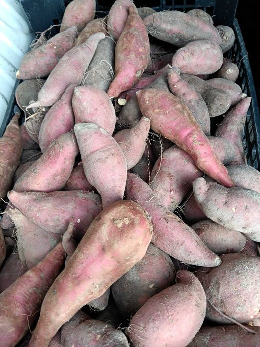 Frutas do Poceirão (faço entregas também)