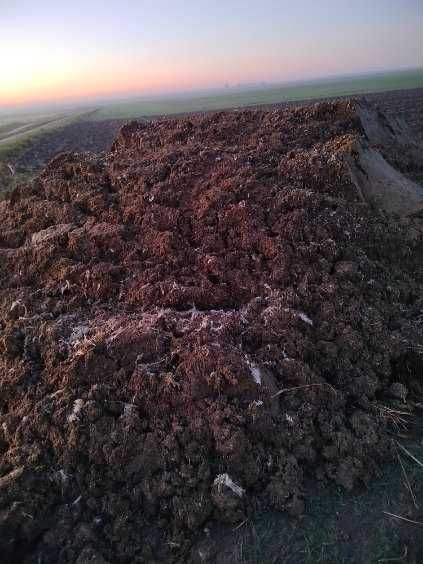 Pomiot kurzy bez słomy