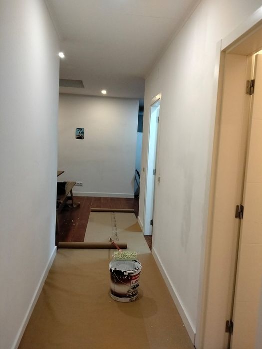 Pintor Profissional