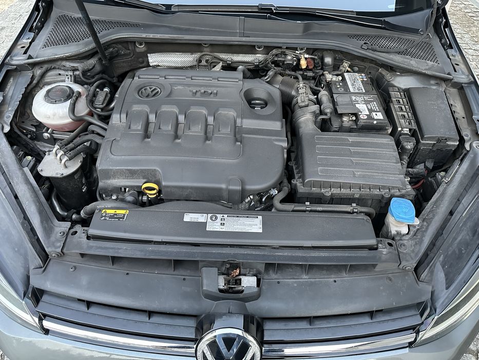 Vw golf 1.6 tdi 115cv