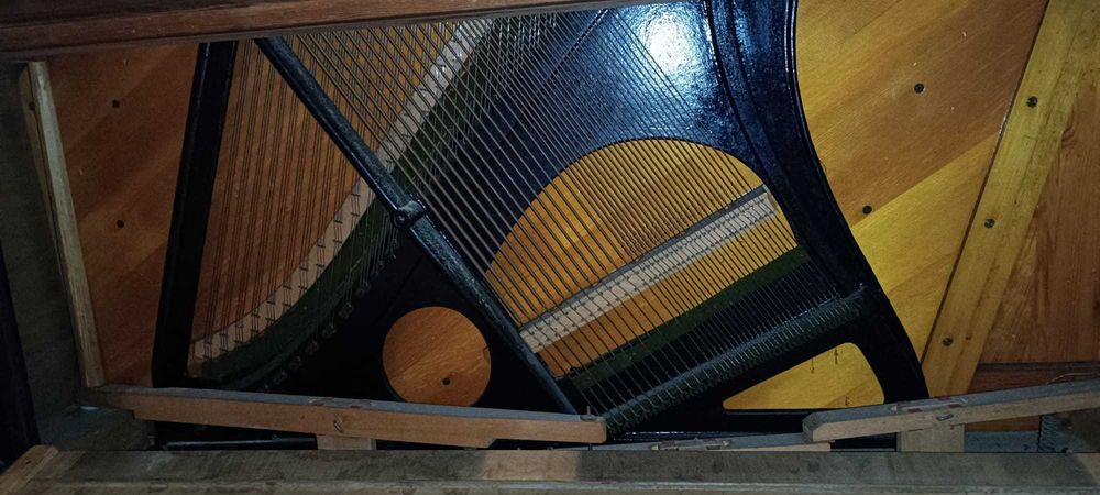 Vendo Piano de Parede C. Bechstein