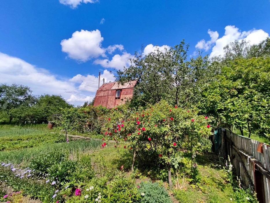 Продам дачу біля лісу - ділянка 15 соток та будинок з опаленням. (SP)