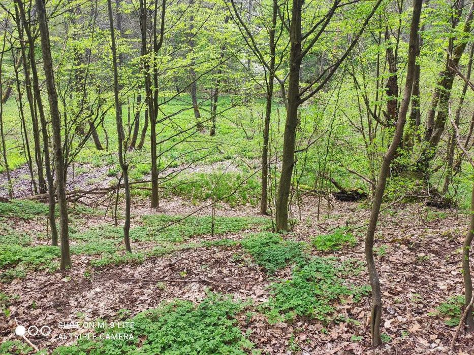 Продаж ділянки 0,051 га в Рокитне