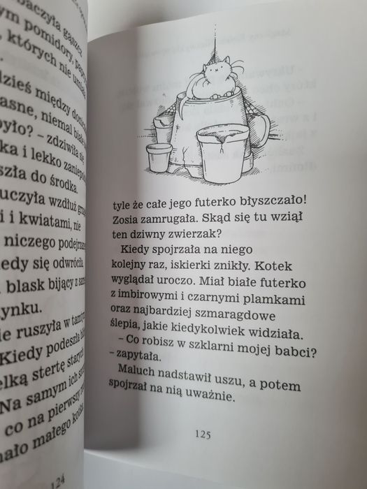 Magiczny kotek - Sue Bentley. Książeczka