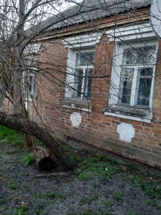 Продам дом селище Гути Богодухівській район (169144)