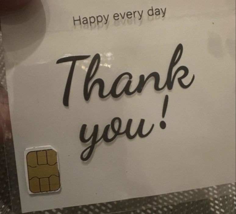 Sim Tesla beimitu danych