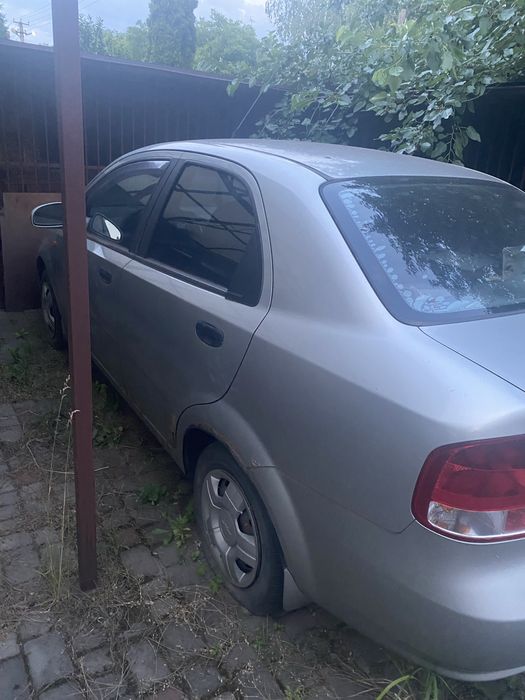 Авео.  1600 у.е.