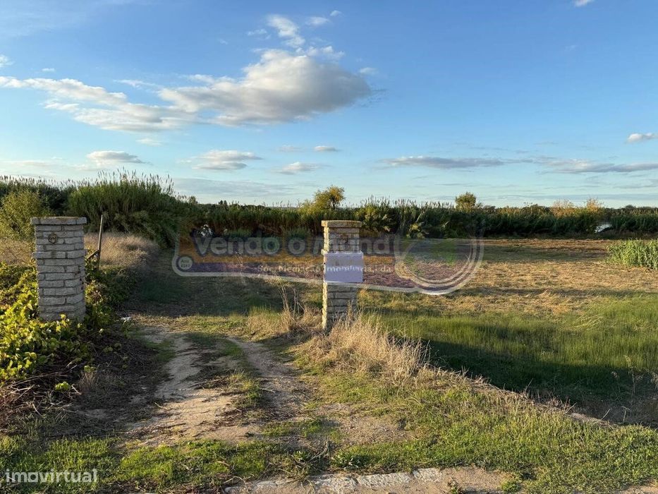 Terreno em Escaroupim - Salvaterra de Magos (S544) — Salvaterra De Magos E Foros De Salvaterra, Santarém