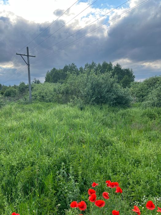 Терміново продам земельну ділянку