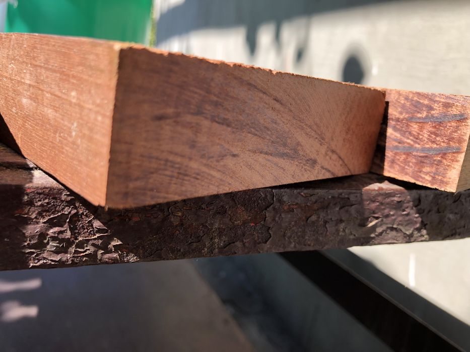 Червоне дерево «махонь»