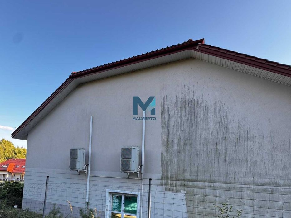Mycie i Malowanie Dachów, Elewacji, Kostki Brukowej